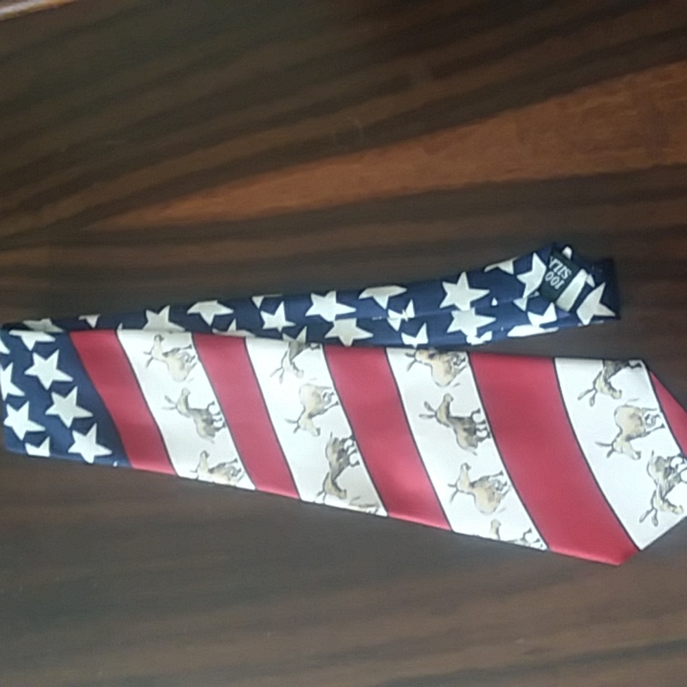 100% Silk Tie & Pin